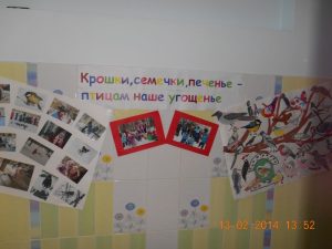 старшая группа
